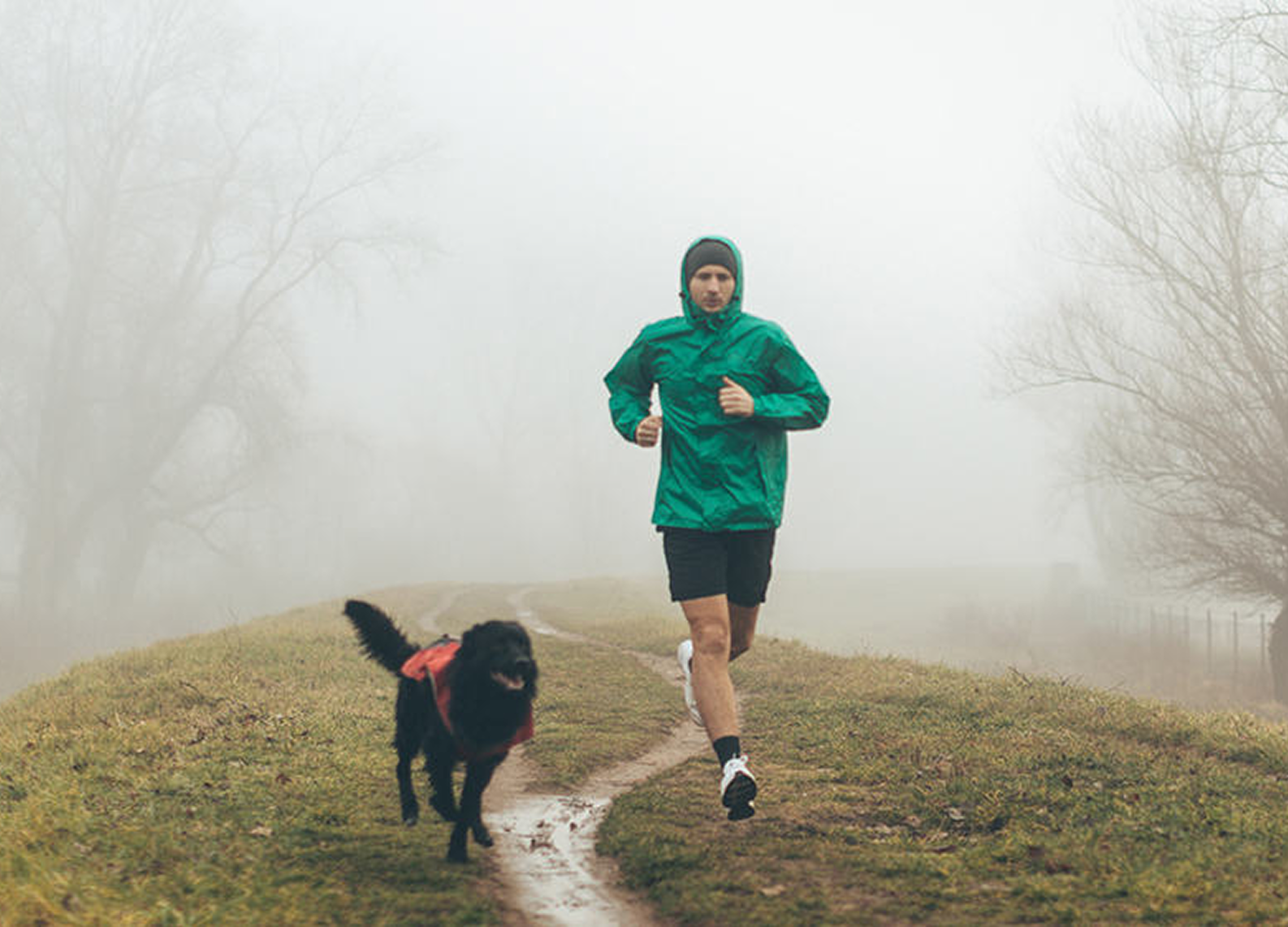 Morning Jog - REVIVE5