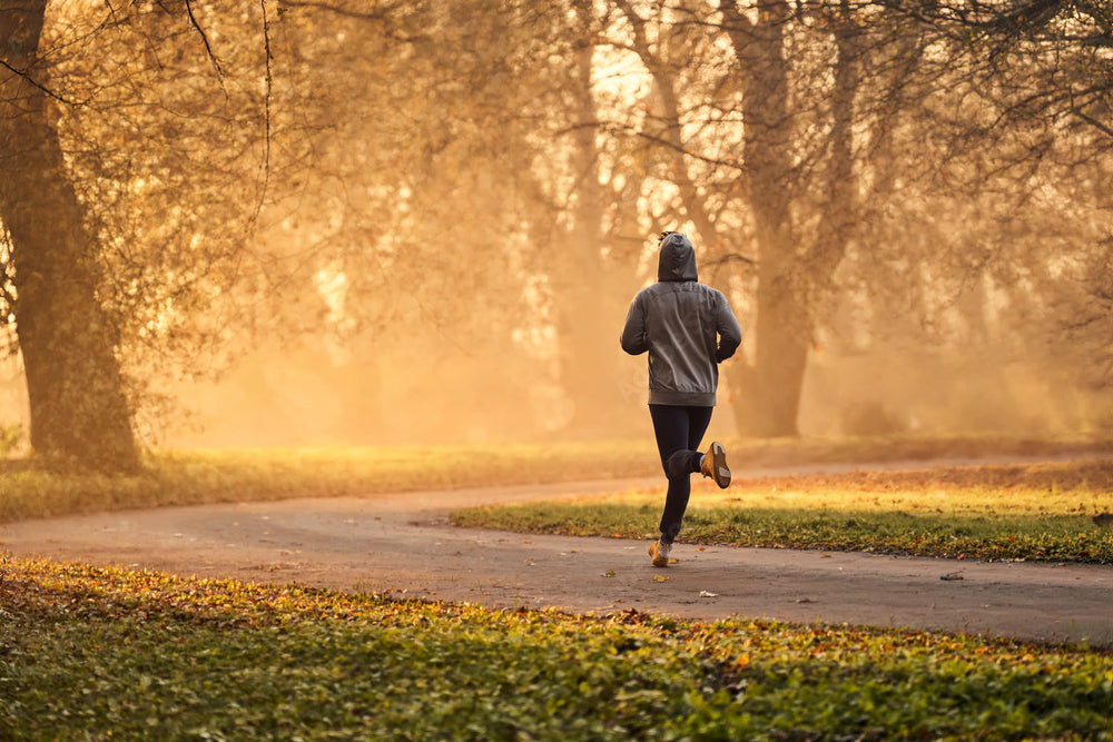 Early Morning Jog - REVIVE5